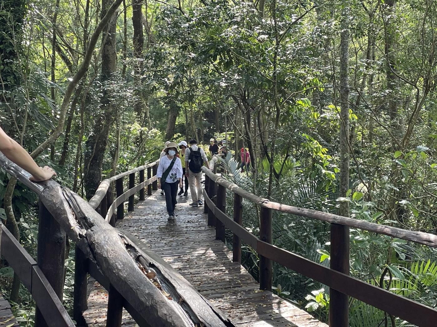 學員走在穿過樹林的木棧道上