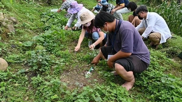學員彎下腰採摘田裡的作物
