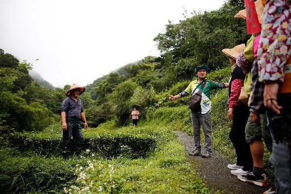 112 年農業療育士課程：貓空的茶園小徑