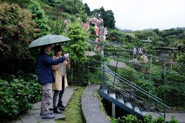 大梯田花卉生態農園：雨中走梯田