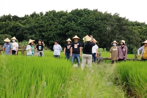 一群人站在綠油油的稻田裡