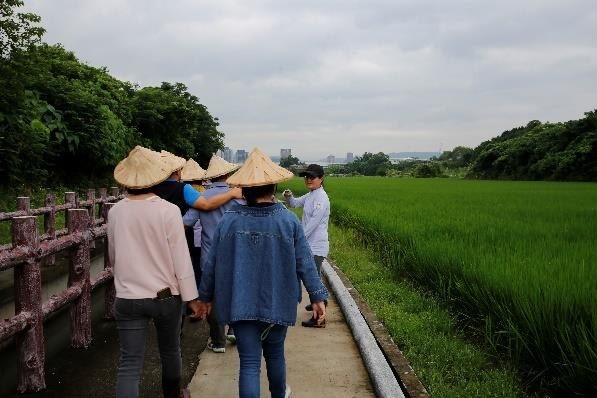 學員戴上斗笠，以走路禪巡田
