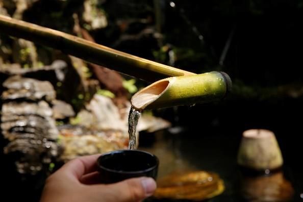 大梯田花卉生態農園：竹管引來的山泉水