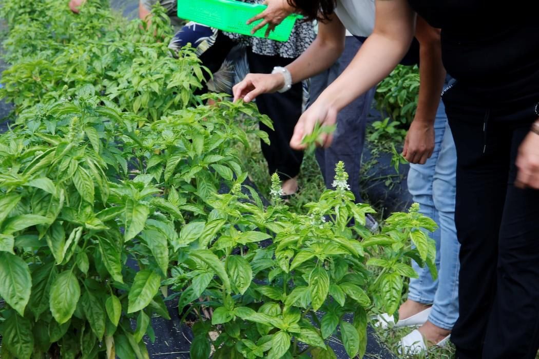 四生資源：四生資源、生產資源、生活資源