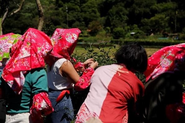 五性體驗：五性體驗、五感性、儀式性